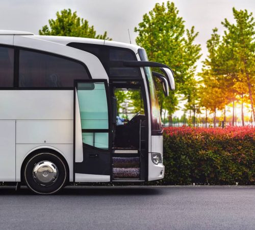 transfer services